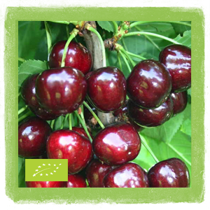 Trešnje BIO 500 g